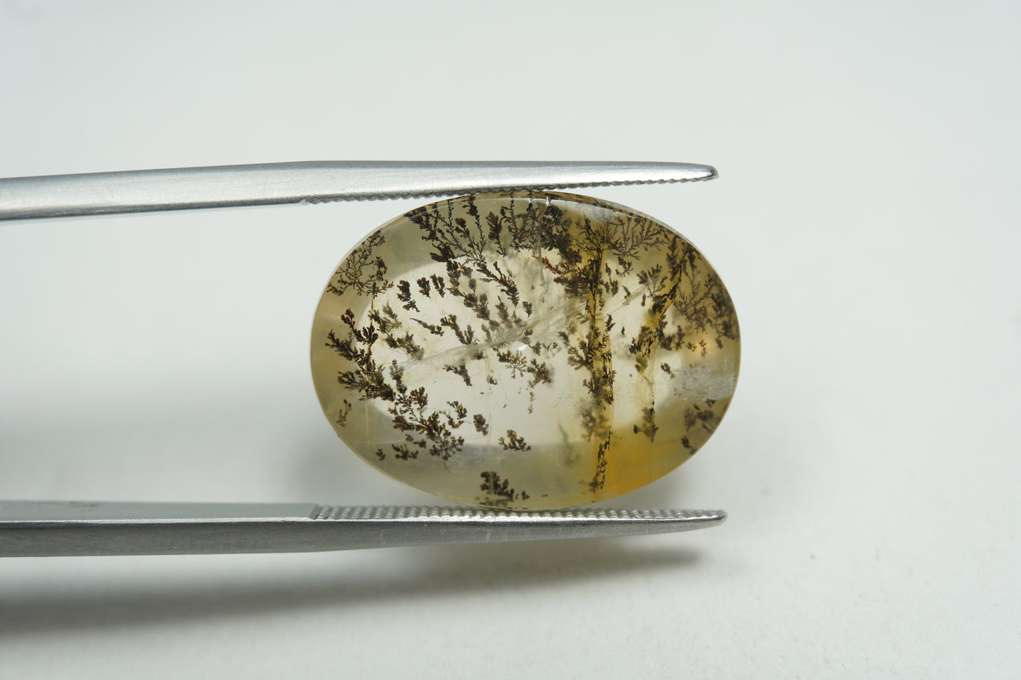 13.17ct Dendrite 19x15mm