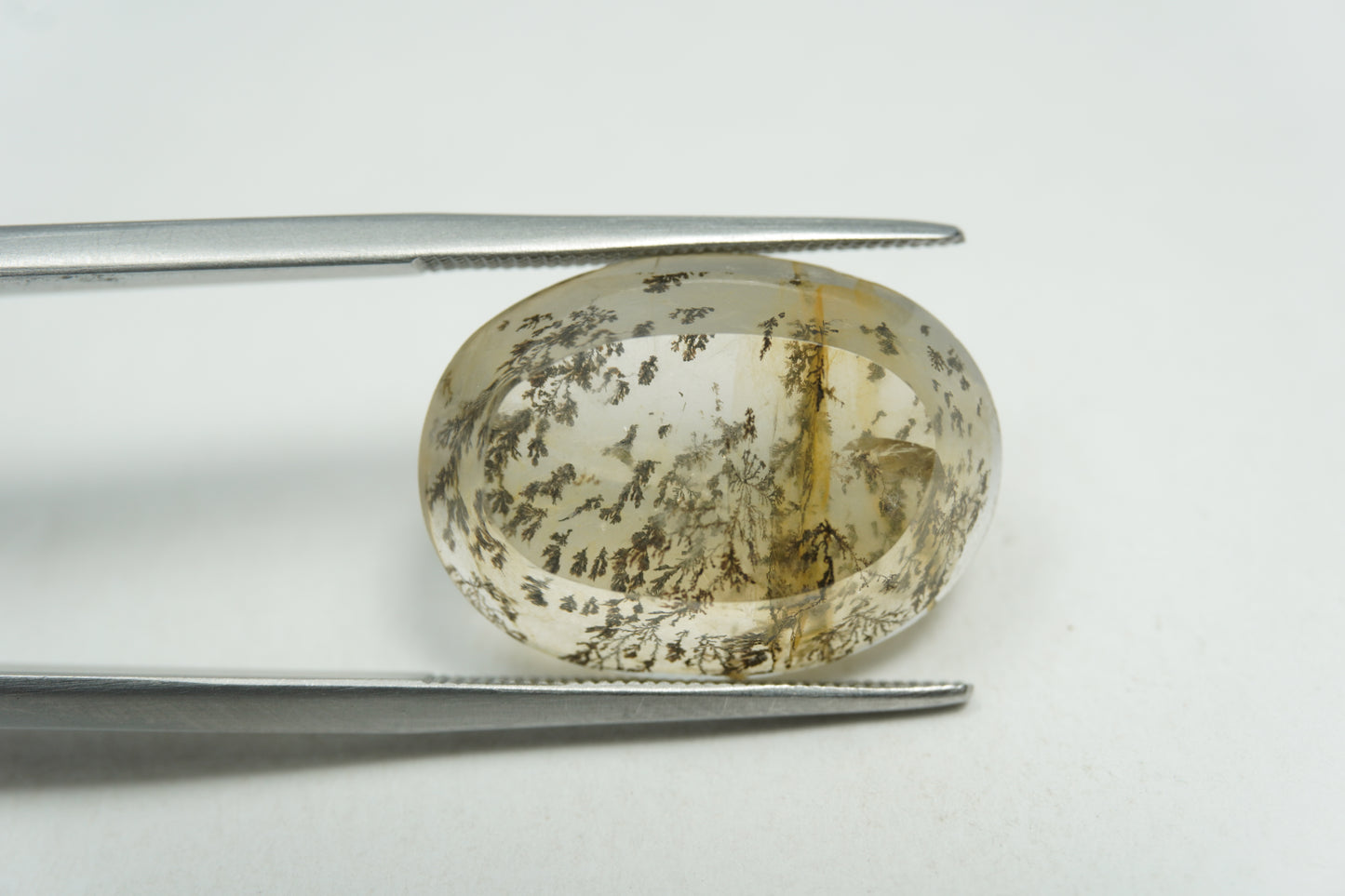 13.17ct Dendrite 19x15mm