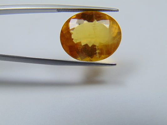 12.90ct Beryl 18x15mm