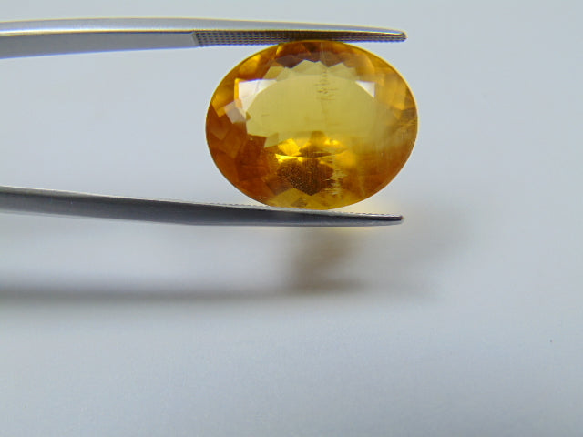 12.90ct Beryl 18x15mm