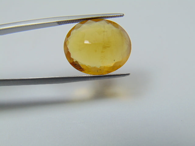 12.90ct Beryl 18x15mm