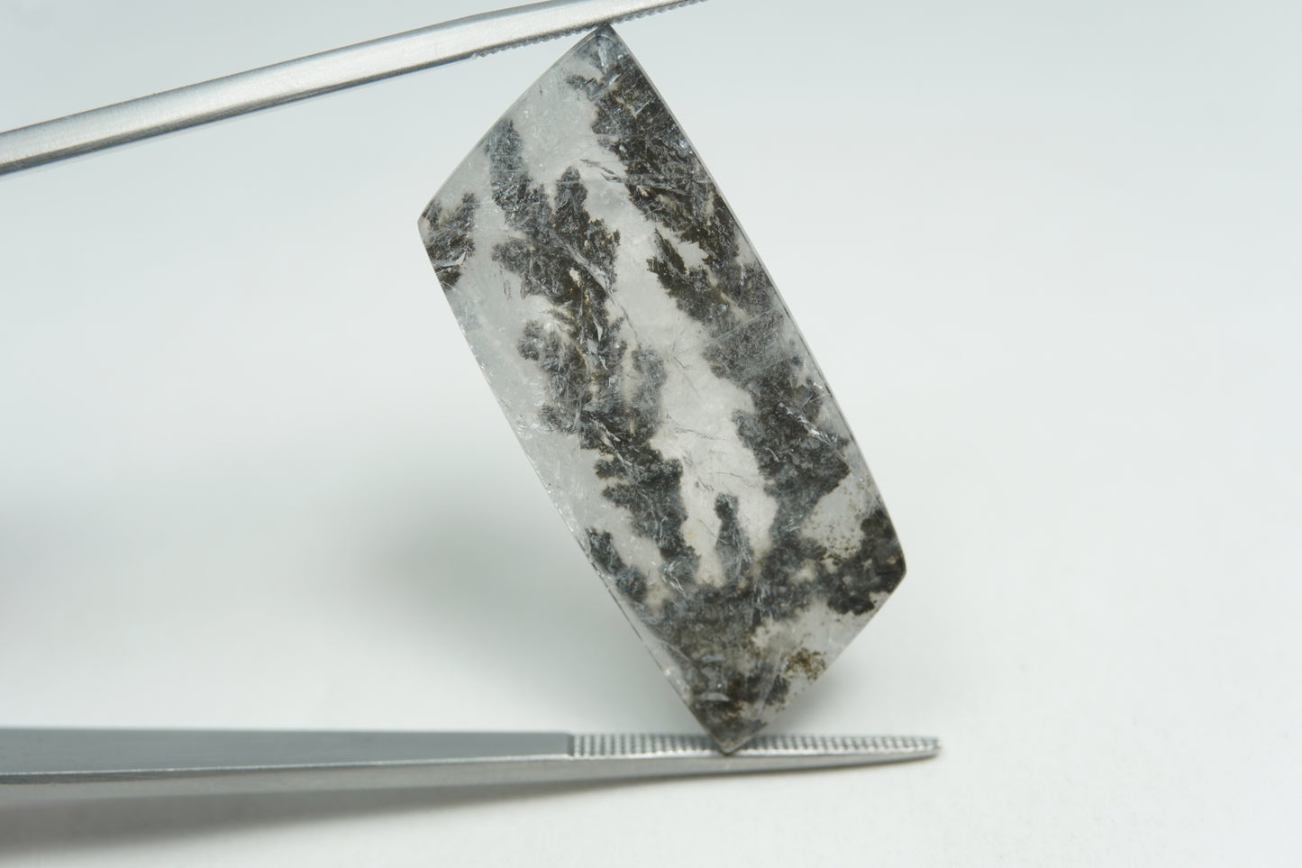 22.45ct Dendrite 29x14mm