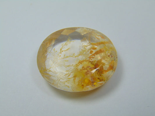 52ct Dendrite 38x27mm