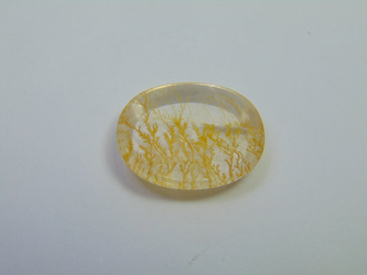 24.65ct Dendrite 24x20mm