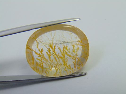 24.65ct Dendrite 24x20mm