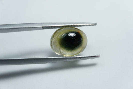 5.85ct Tourmaline bicolor Cabochon 12x10mm