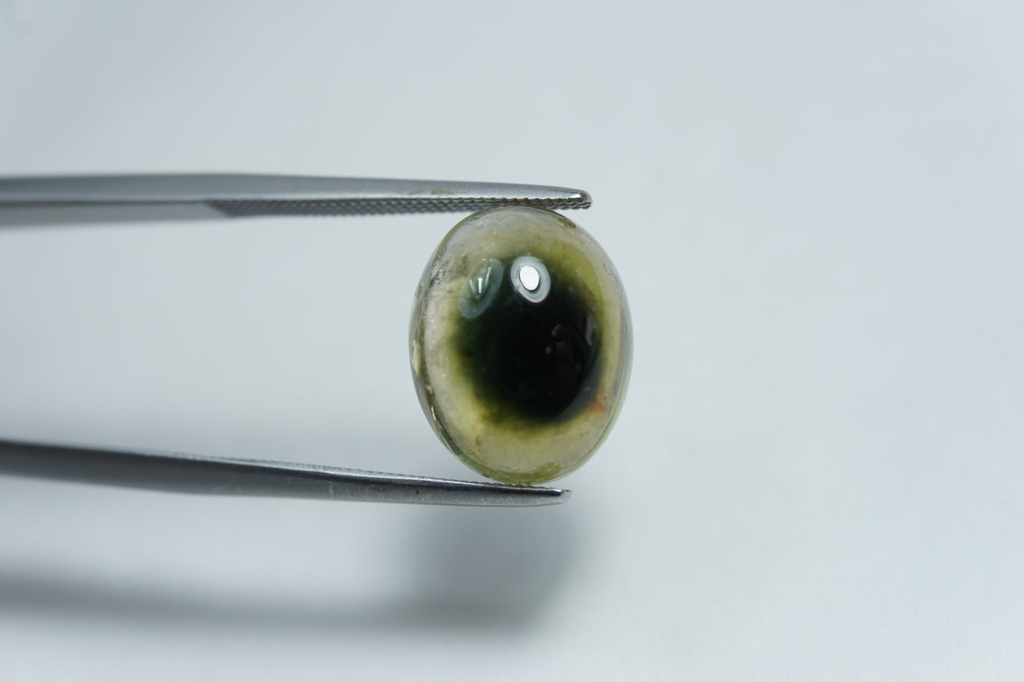 5.85ct Tourmaline bicolor Cabochon 12x10mm