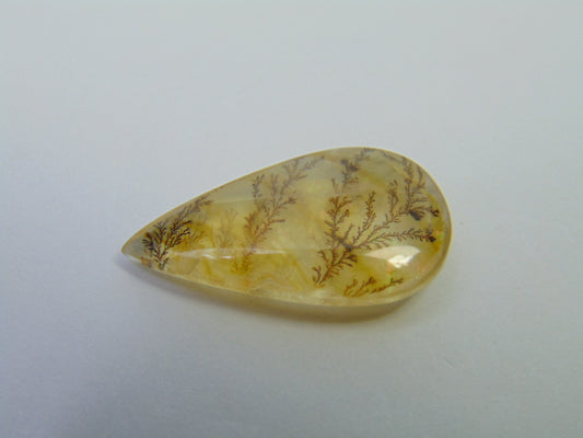 10.90ct Dendrite 25x14mm