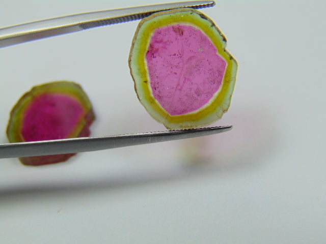 15.75ct Watermelon Tourmaline Pair 16x14mm