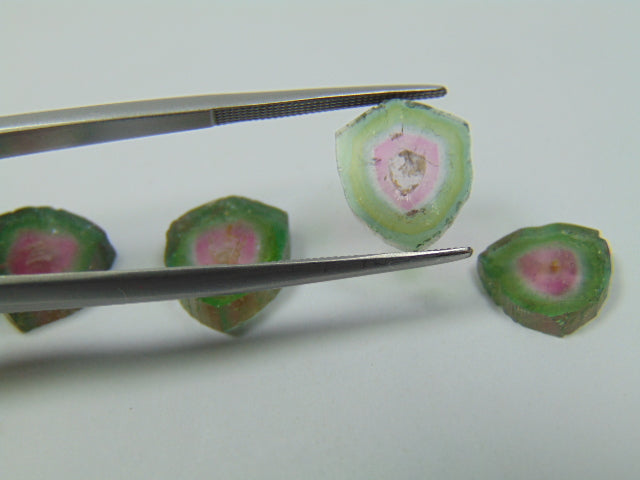 15ct Watermelon Tourmaline