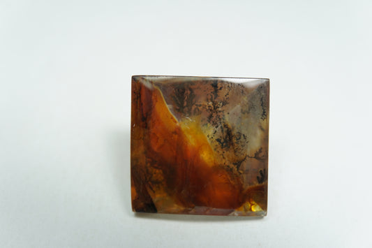 20.93ct Dendrite 17mm