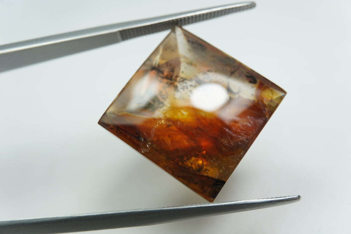 20.93ct Dendrite 17mm