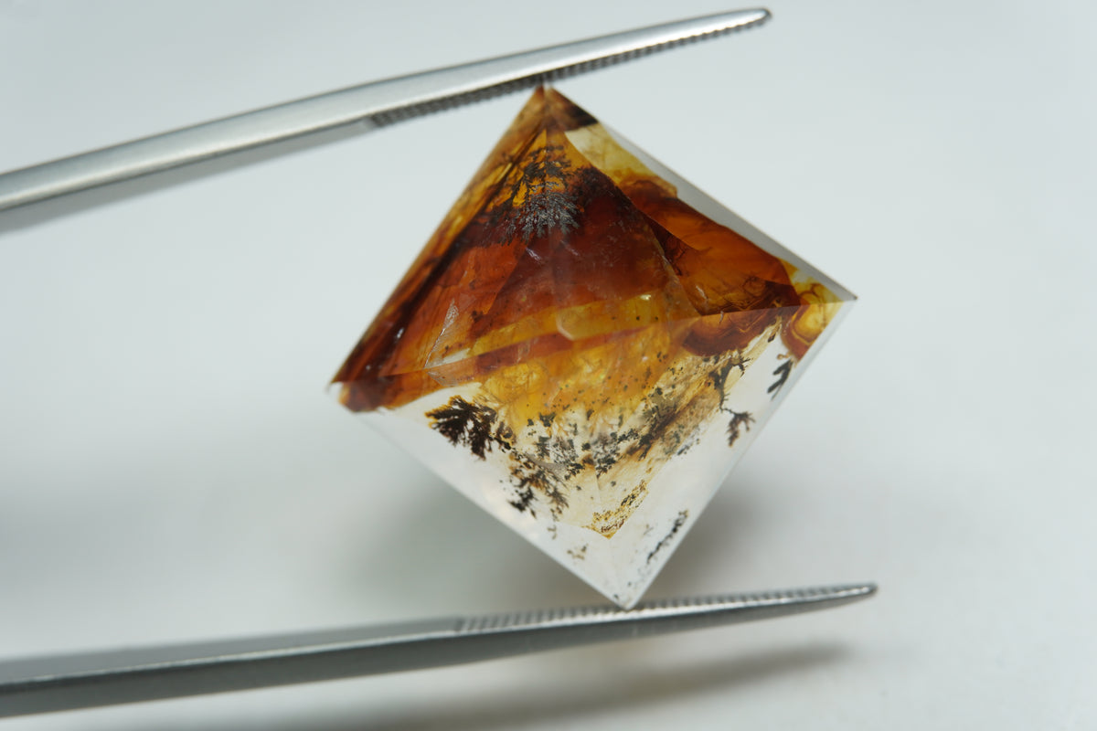 20.93ct Dendrite 17mm