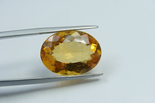 10.95ct Beryl 14x18mm