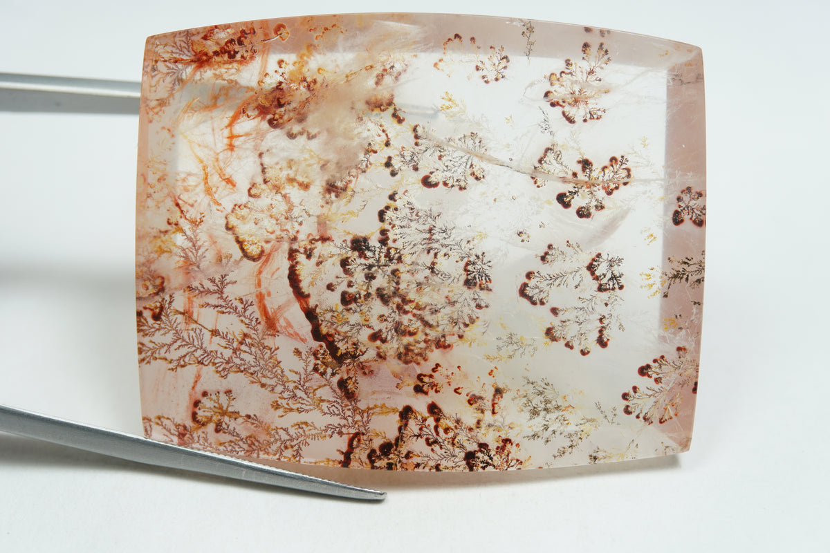 121.50ct Dendrite 43x35mm