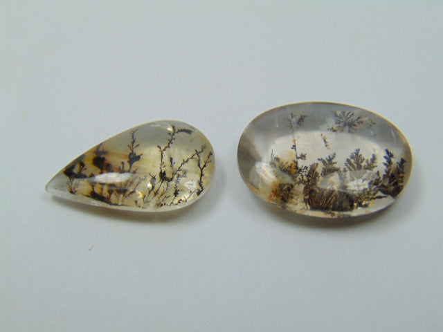 19.30ct Dendrite 20x13mm 20x14mm