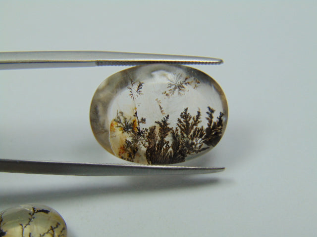 19.30ct Dendrite 20x13mm 20x14mm
