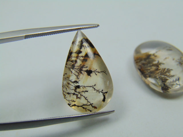 19.30ct Dendrite 20x13mm 20x14mm
