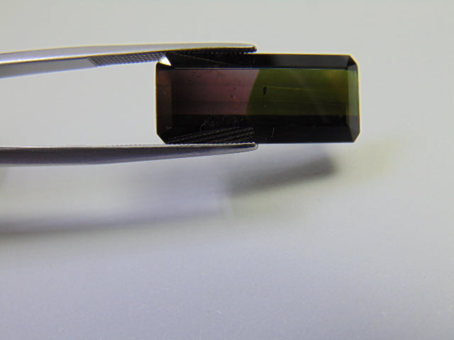 11.90ct Tourmaline Bicolor 24x12mm