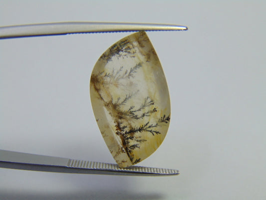 12.30ct Dendrite 22x12mm