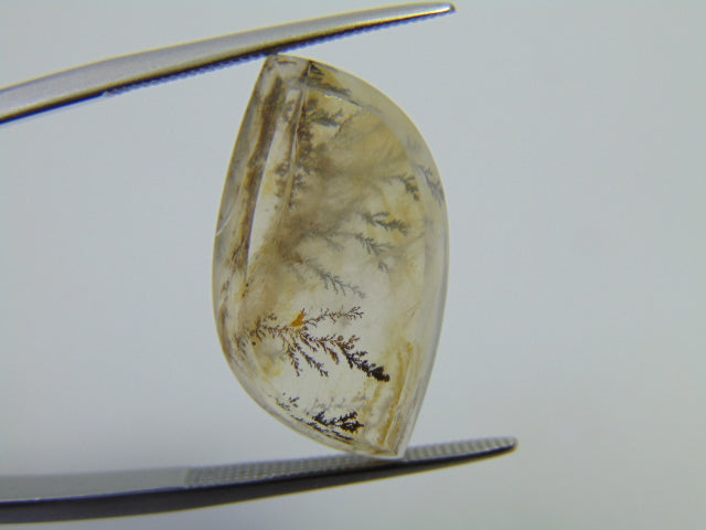 12.30ct Dendrite 22x12mm