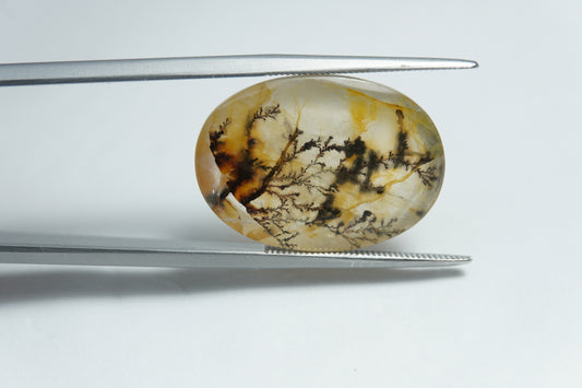 14.90ct Dendrite 22x15mm