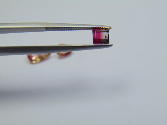 2.95ct Tourmaline Bicolor