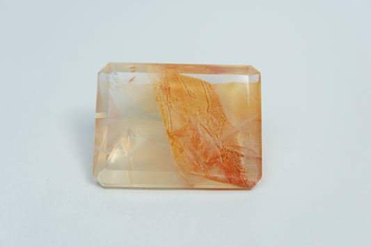 60.55ct Dendrite 29x22mm
