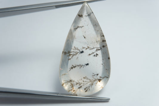 24.45ct Dendrite 33x18mm
