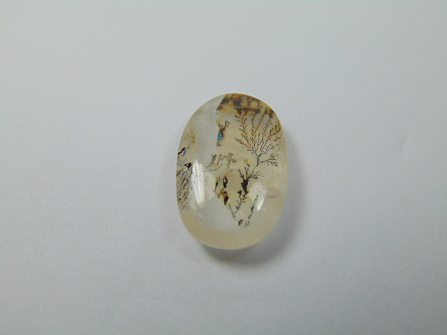 15ct Dendrite 22x15mm