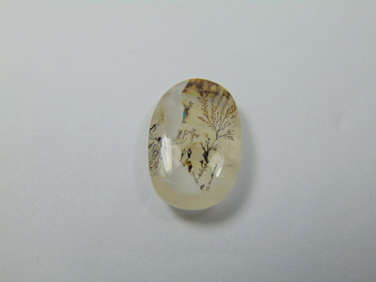 15ct Dendrite 22x15mm