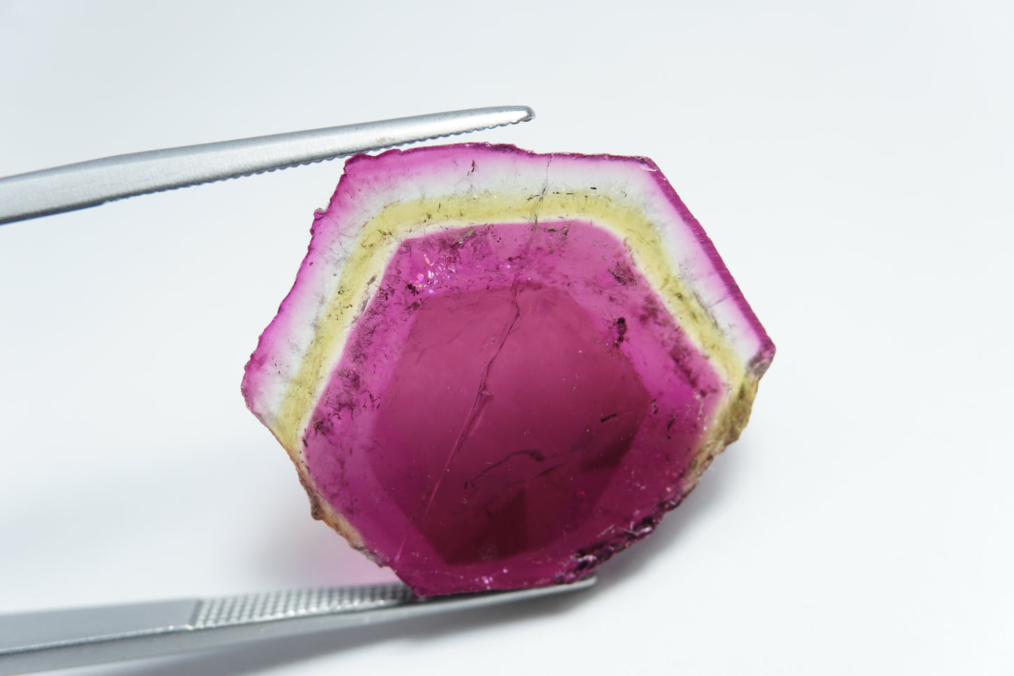 17.55ct Watermelon tourmaline 24x22mm