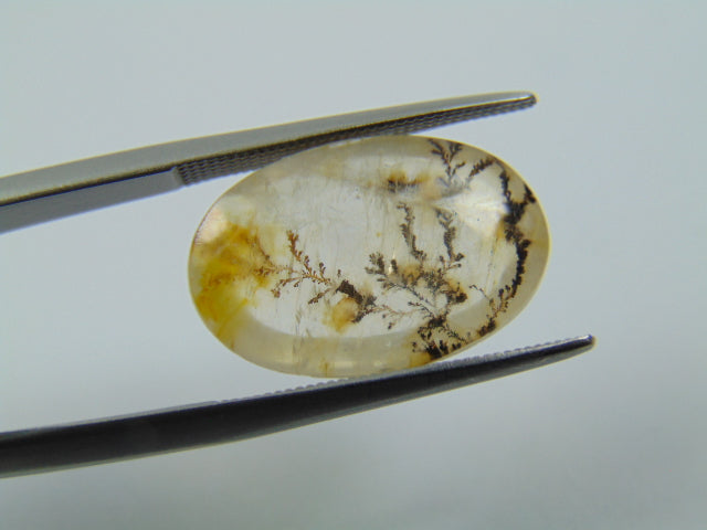 7.20ct Dendrite 18x12mm