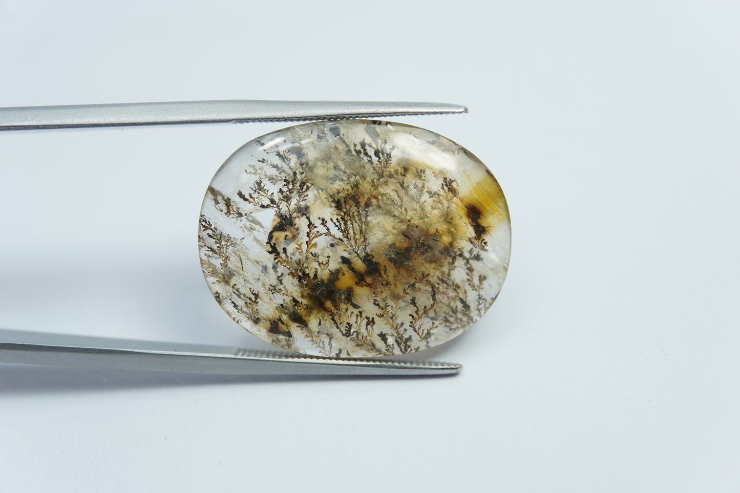 20.20ct Dendrite 25x19mm