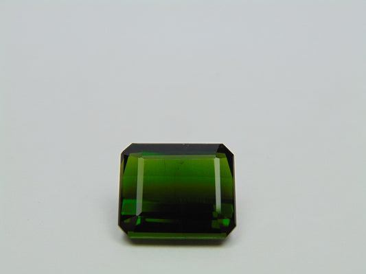 15.70ct Tourmaline 16x14mm