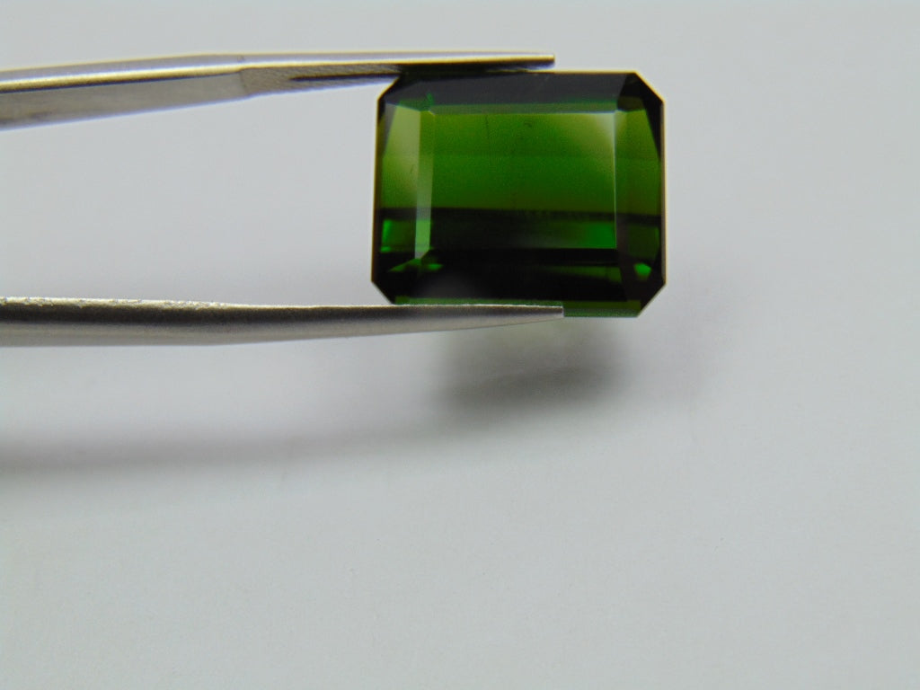 15.70ct Tourmaline 16x14mm