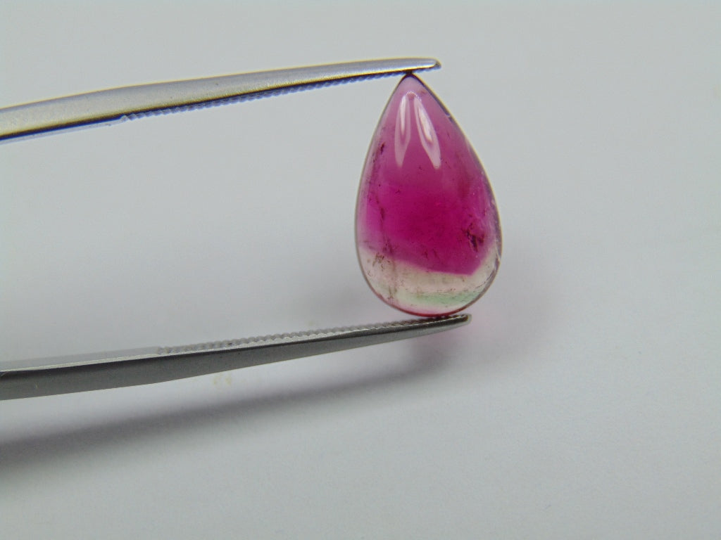 3.90ct Tourmaline Bicolor 19x8mm