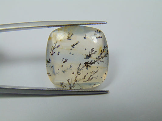 19.40ct Dendrite 19mm