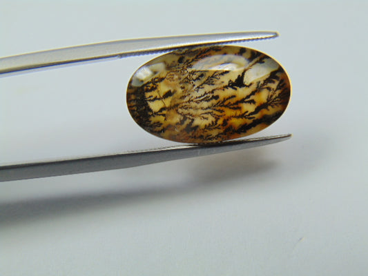7.60ct Dendrite 18x11mm