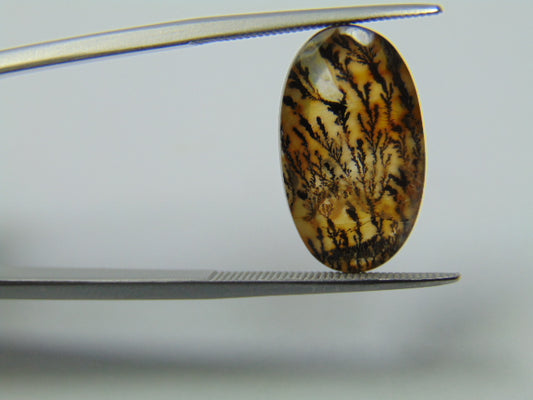 7.60ct Dendrite 18x11mm