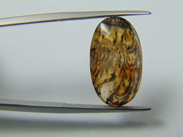 7.60ct Dendrite 18x11mm