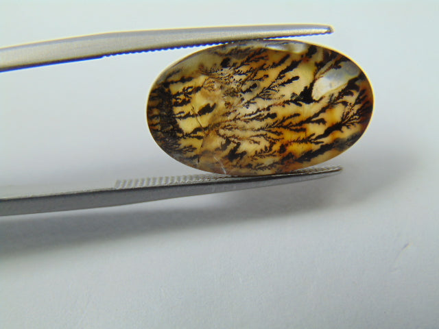 7.60ct Dendrite 18x11mm