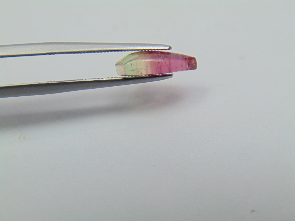 2.75ct Tourmaline Bicolor Cabochon 12x8mm