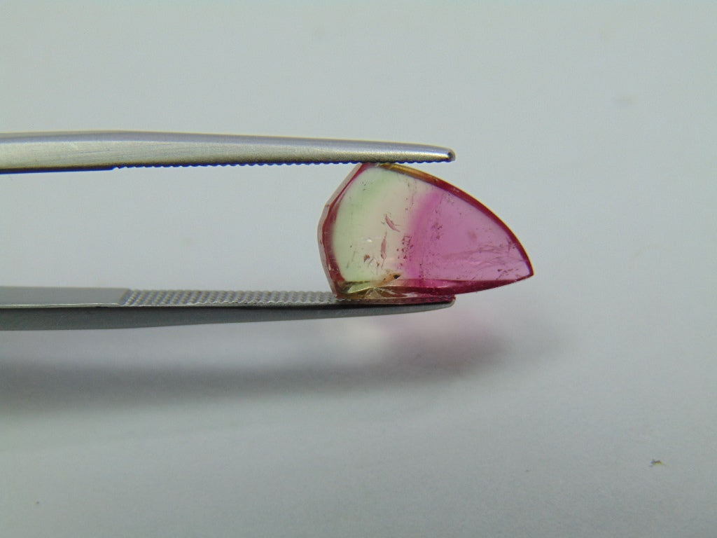 2.75ct Tourmaline Bicolor Cabochon 12x8mm