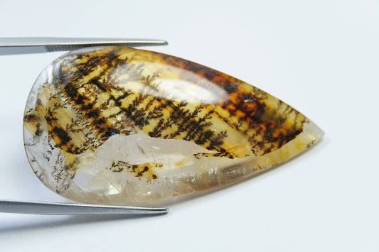 50ct Dendrite 46x23mm