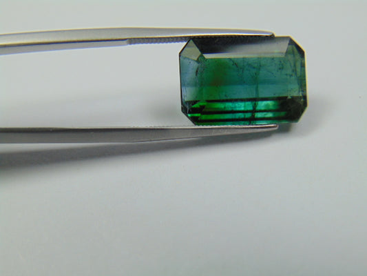 9ct Tourmaline Bicolor 16x11mm