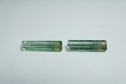 3.87ct Tourmalines bicolor 16x4mm / 15x4mm