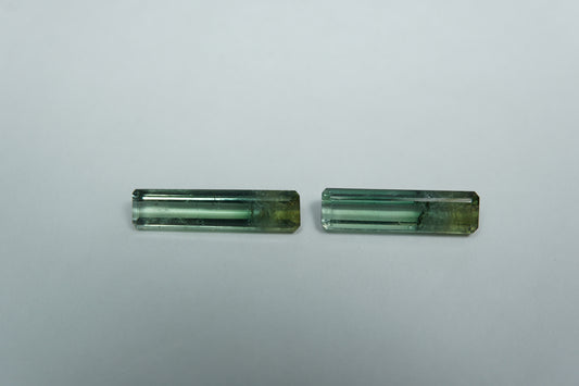 3.87ct Tourmalines bicolor 16x4mm / 15x4mm
