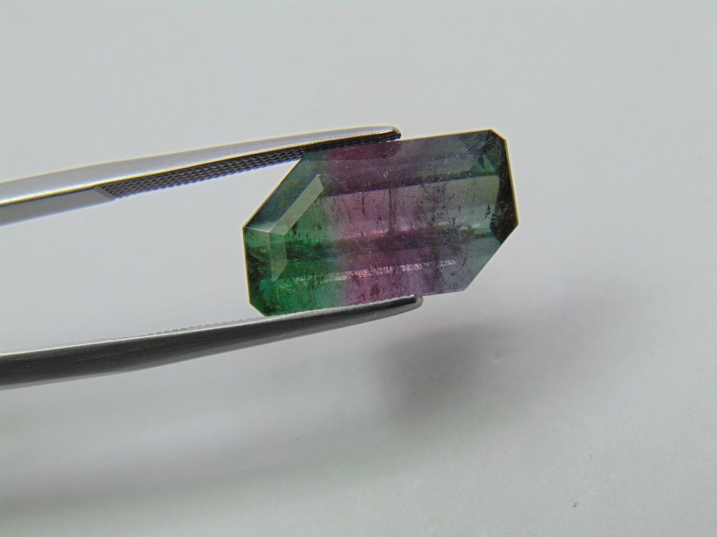 7.60ct Tourmaline Bicolor 15x9mm