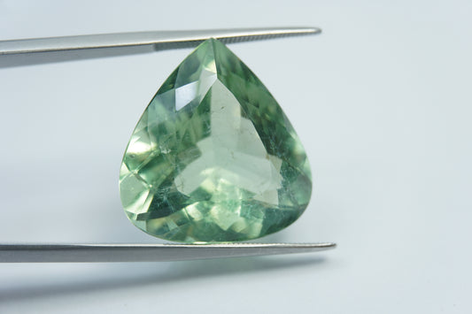 24.50ct Prasiolite 23x20mm
